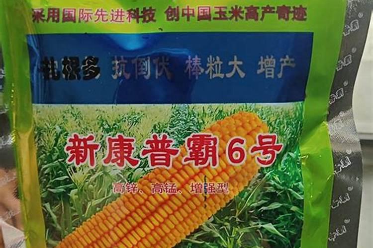 如何以最快的速度胖起来？