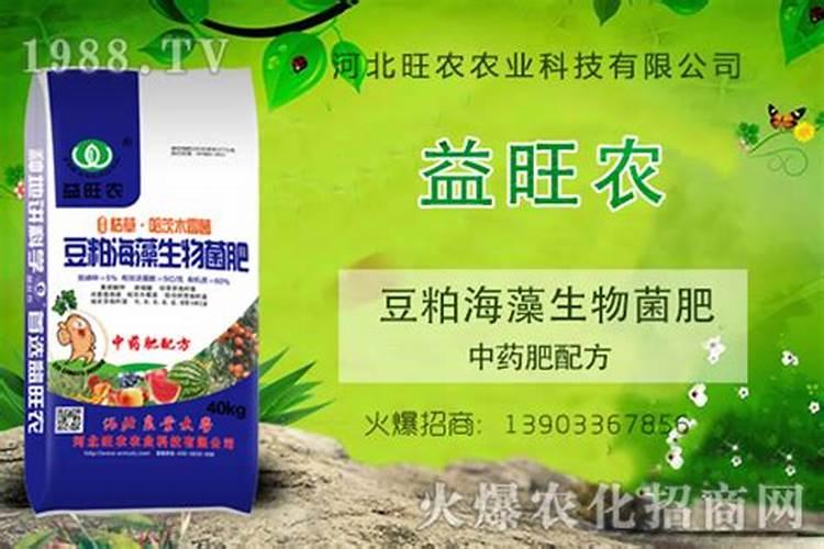生姜种植什么时候用豆粕好？有什么需要注意的？