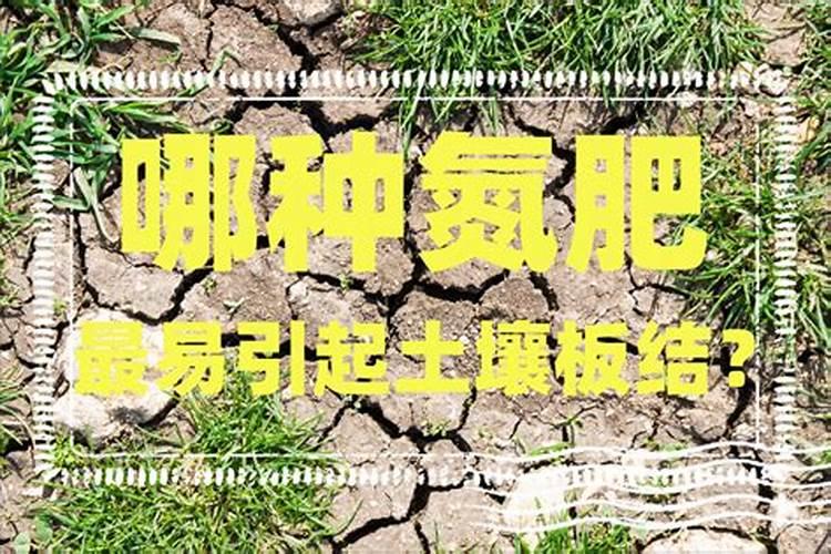 水溶肥溶于水后能放多久