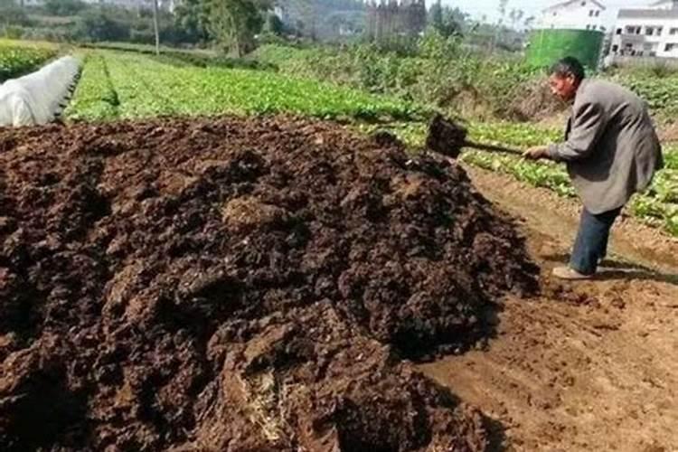 初中化学知识主要学些什么？