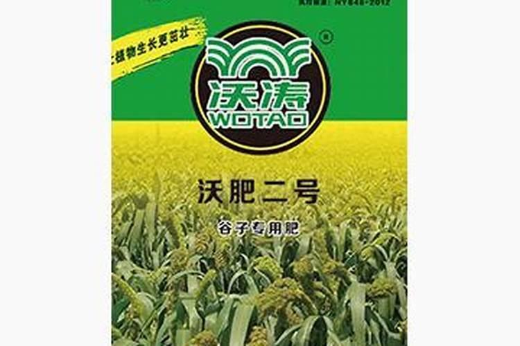 谷子施肥该注意什么