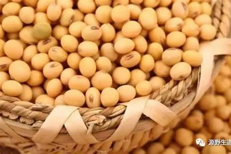 君子兰可以用复合肥吗