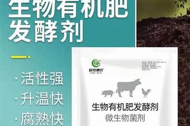 橙黄色的百合花能吃吗？怎么吃