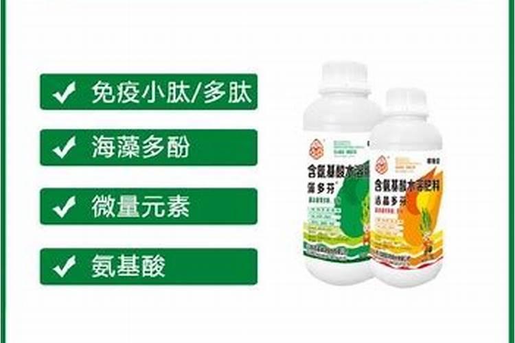 蟹爪兰几天浇一次水最好