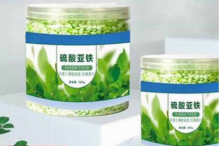 栀子开花能打叶面肥吗