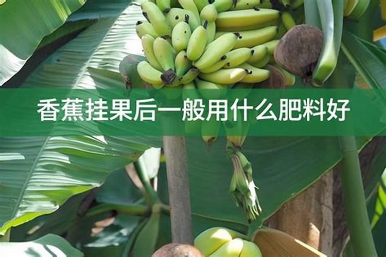 香蕉用什么肥料好？