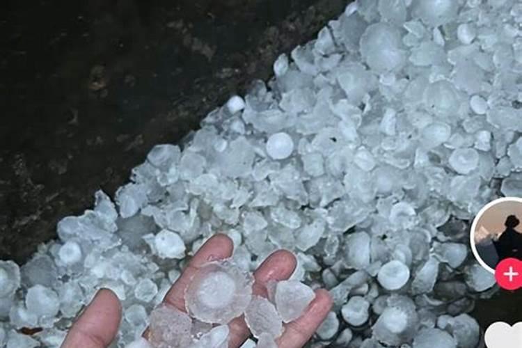 大豆被冰雹砸了有补救的方法吗？