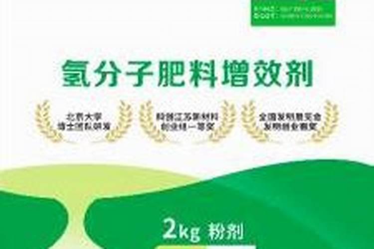 玉米浇水的正确方法