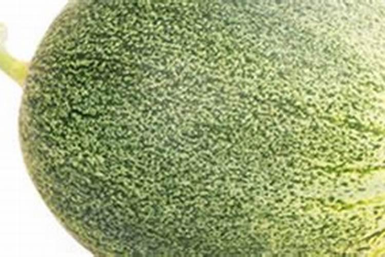 甜瓜什么时候追肥合适,高产追肥方法