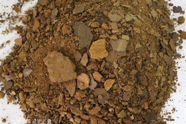 立春钓鱼用什么饵料