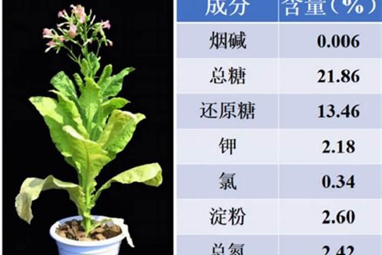 有机无机复合肥养分中不含磷？