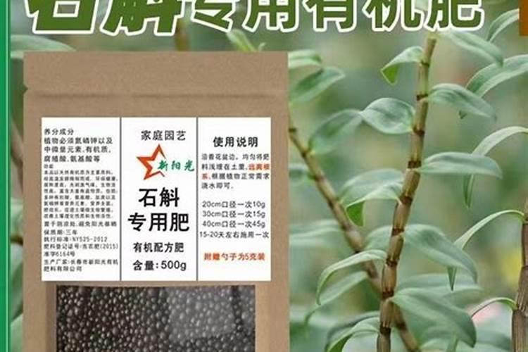 石斛施肥方法和注意事项 铁皮石斛施肥技术及其注意事项