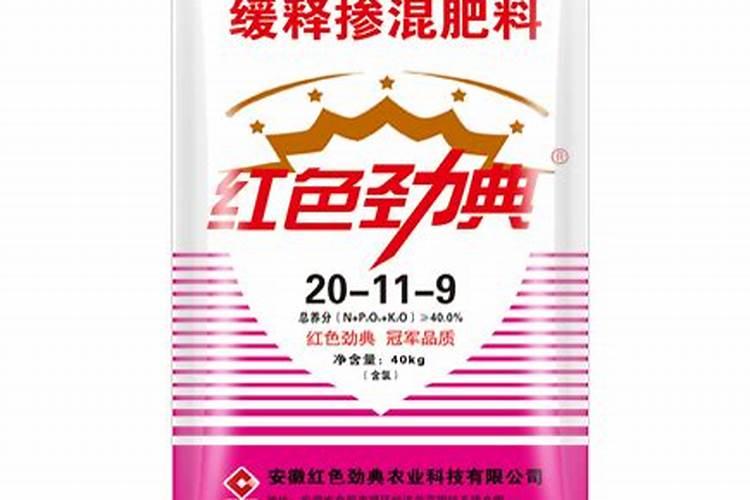 绿萝叶子放水里能生根吗