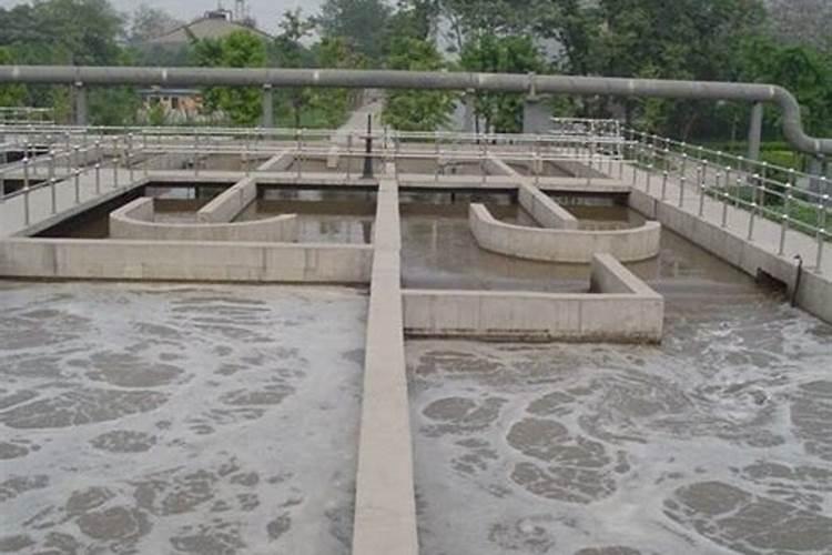 硝酸磷肥是什么