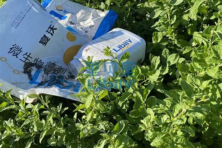 秋天葡萄树,两年苗施什么肥好？