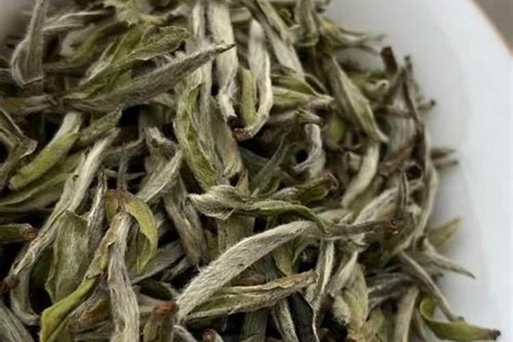 白茶秋梢是什么时候开始到什么时候结束