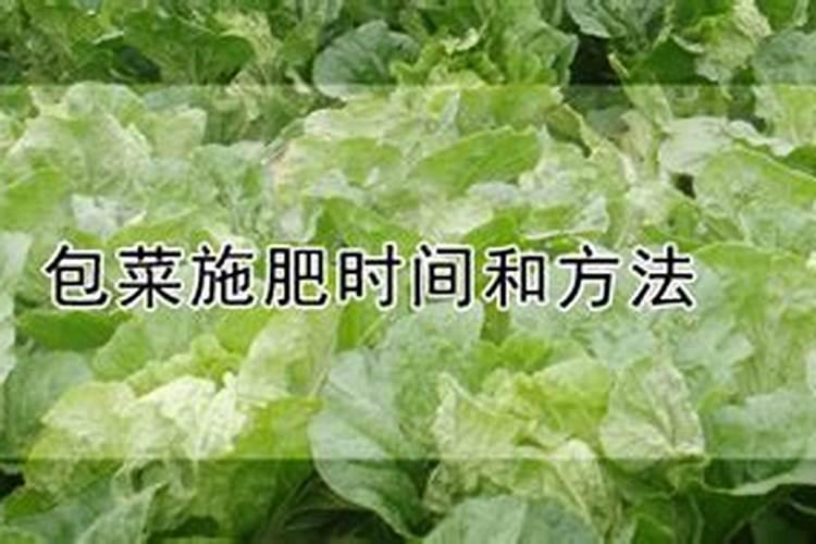 二轻甲十氨基酸在龙眼挂果中后期能用吗