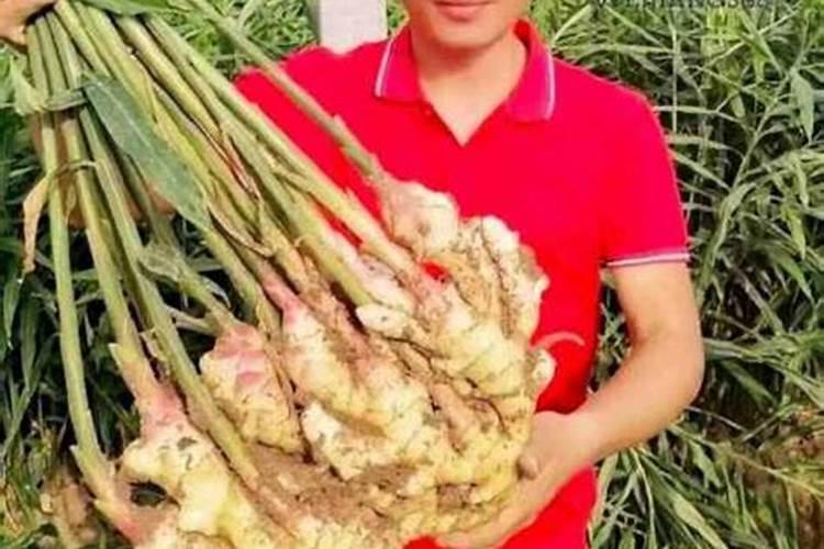 中硼(丹东)新材料有限公司怎么样？