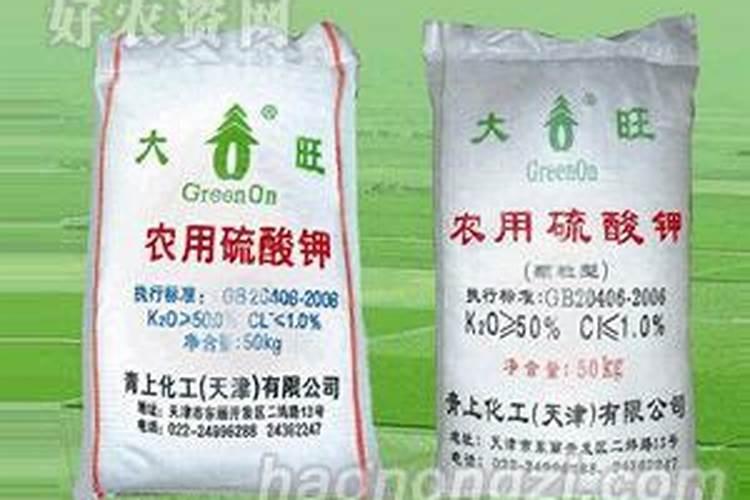 大蒜返青肥什么时候撒效果最好