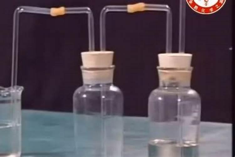 龟背竹施什么肥龟背竹施哪种肥