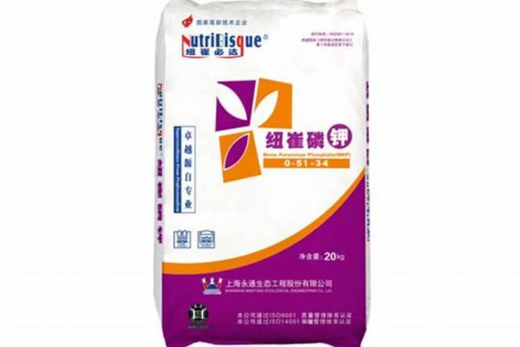 龙须兰用什么土养好