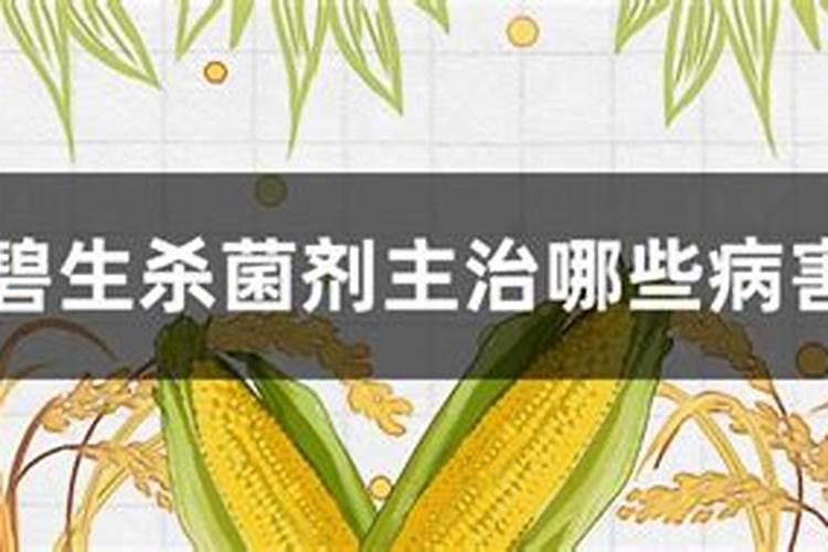 碧生杀菌剂主治哪些病害