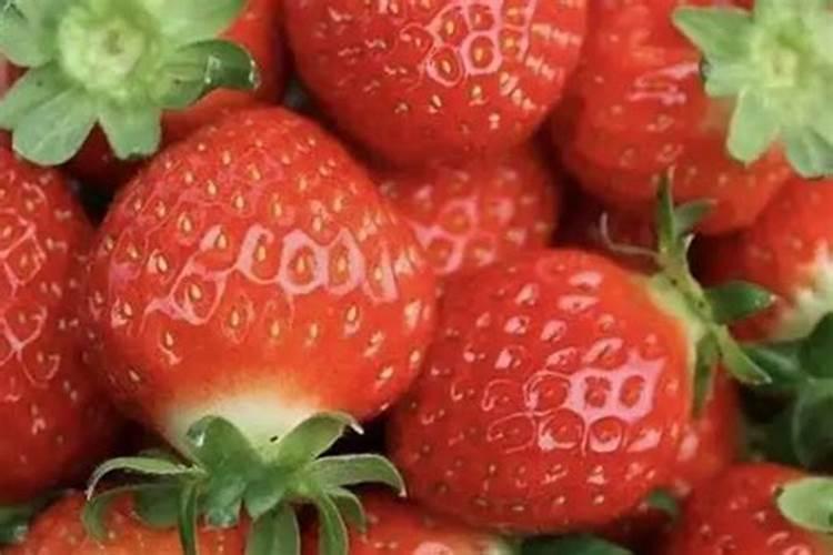 硼肥使用方法及注意事项