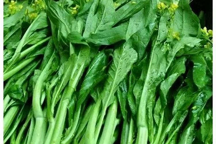 怎样施肥山药才大 如何提高产量