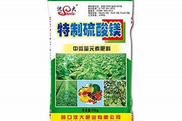 三角梅什么时候施肥,春夏初期施肥最适宜(施后浇水)