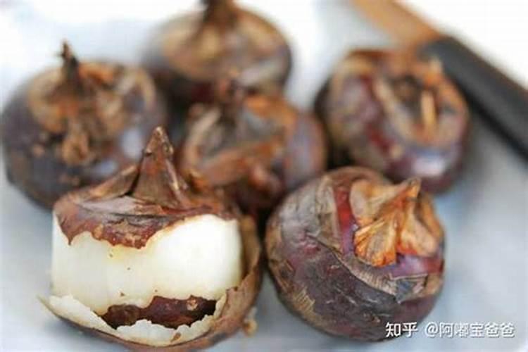 空心菜施什么肥长得快又嫩