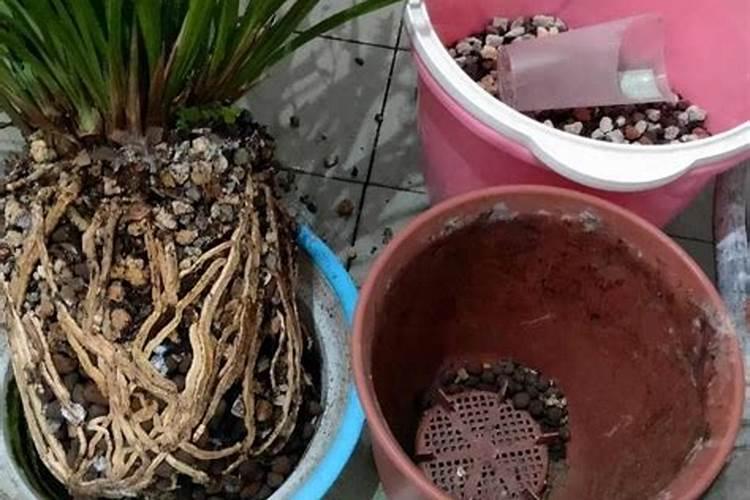 南瓜里面的瓜瓤部分已经烂了,南瓜还可以吃吗？