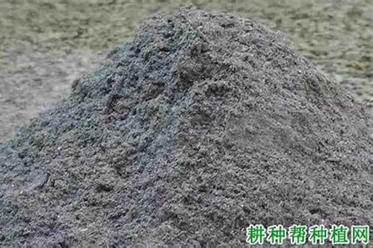 草木灰可以直接用作施肥吗