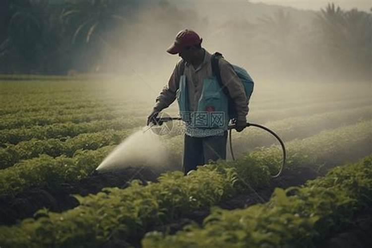 用15公斤的药桶打农药？ 说稀释8001000倍 一桶水放几毫升药或者几克药...