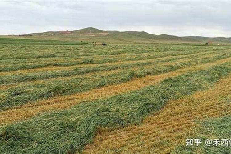 喷浆造粒、氨化造粒、高塔造粒的区别