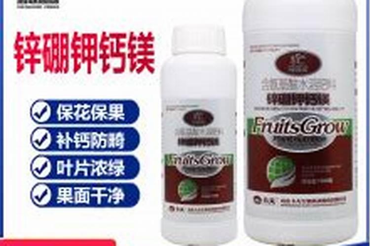 火龙果开裂是怎么回事