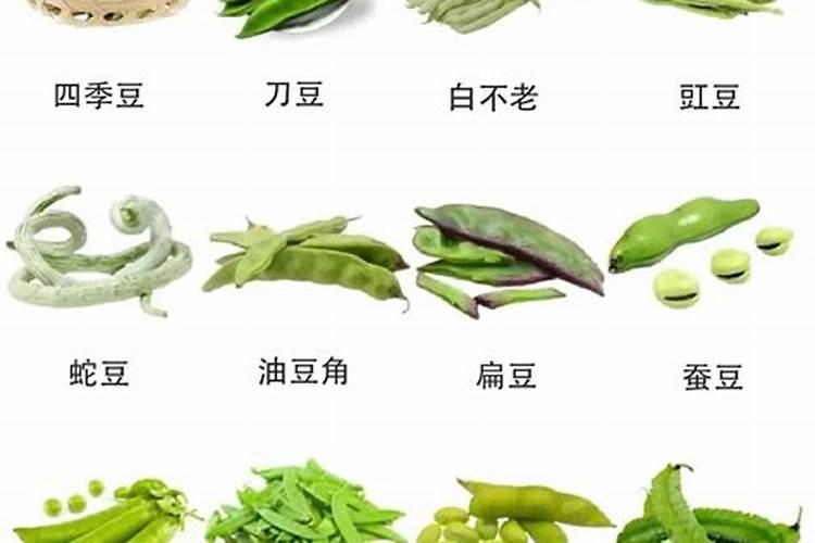 种四季豆用什么肥料好