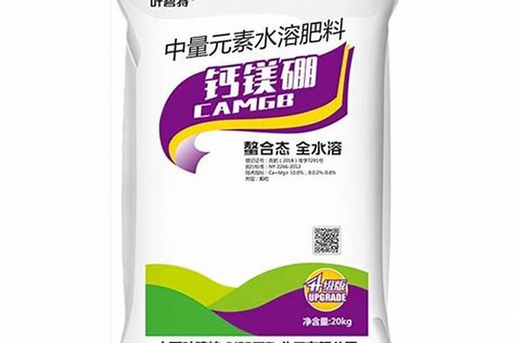 黑麦草草坪一块一块的发黄