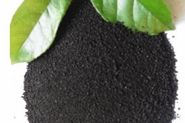 请问给温室里的植物喷洒叶面肥,阴天或者下雨天气行不行？