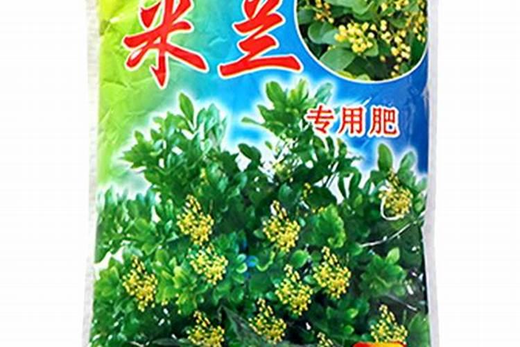 米兰底肥放什么肥好(底肥施用方法)