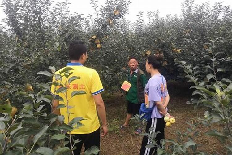 果树什么时候施肥好？