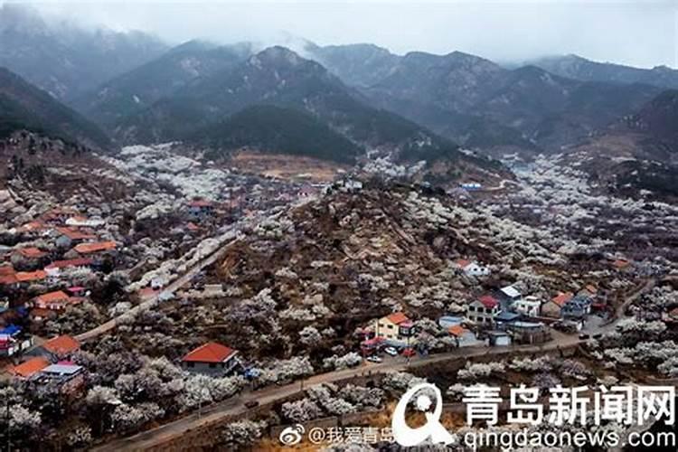 棉花追肥可以施用复合肥吗