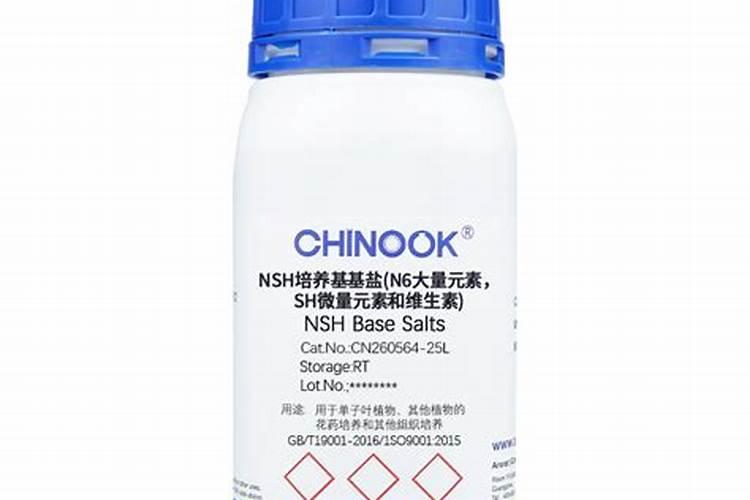 柑橘怎么管果子大