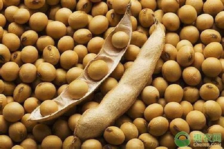 樱桃树施什么肥好什么时候施肥