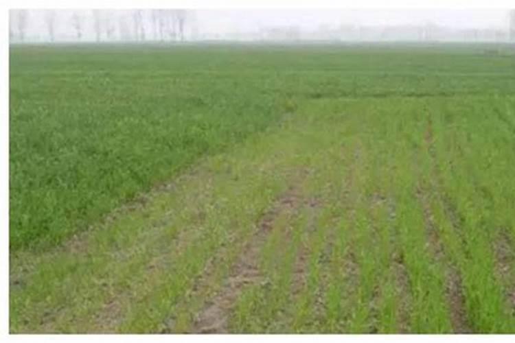 化肥检测找哪个部门