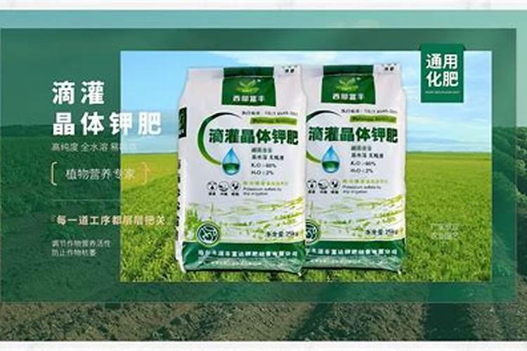 中国钾肥前十名上市公司