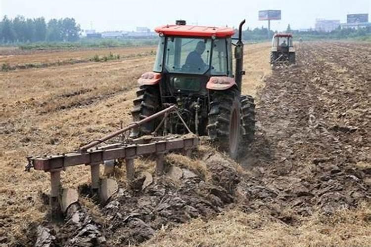 吊兰能施种菜用复合肥颗粒？