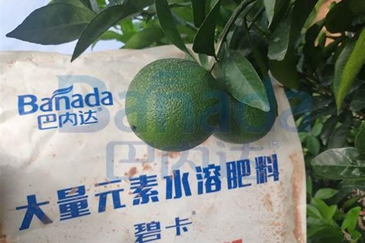 果树增产增收专用叶面肥哪种好？果树用什么肥料能高产？