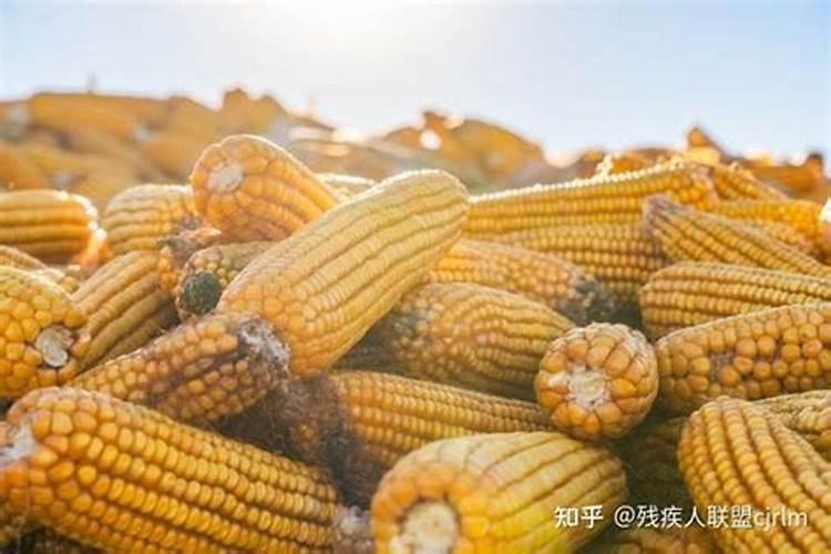 钾肥一亩地用多少斤