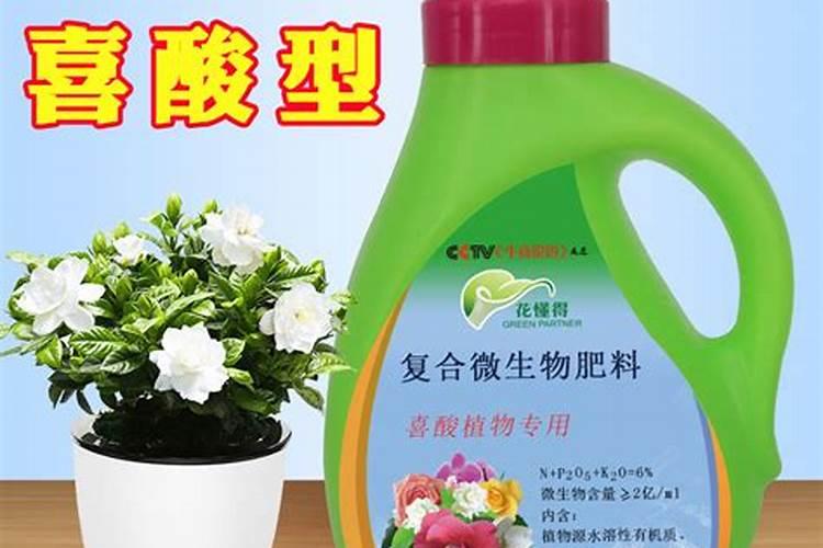 玉米一生需要多少氮磷钾？