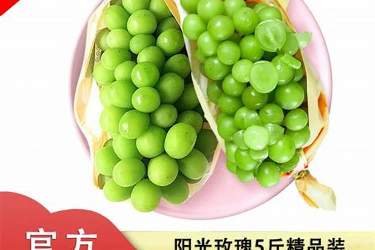 玉米一生需要多少氮磷钾？